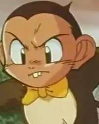 猴年说猴阅读理解答案初中,猴年说猴阅读理解