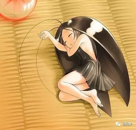 精灵宝可梦图鉴第61期——搜神记(26)席多蓝恩