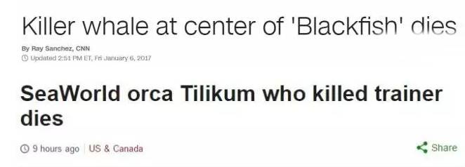 它的死，是给人类一记响亮的耳光