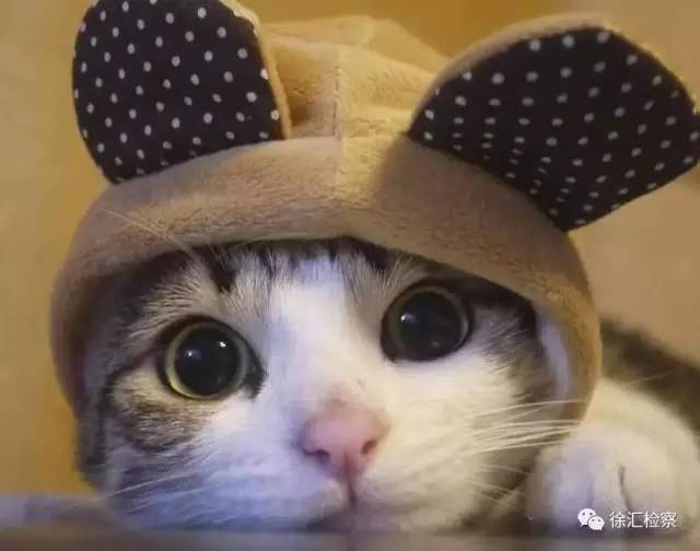 震惊｜辞去工作在网店倒卖气枪配件，“淘”来法律制裁！