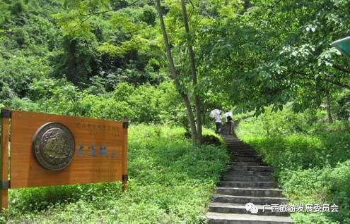 广西红色景点参观感想,参观广西红色革命基地的心得体会