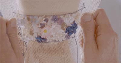 missdior橘调,missdior为啥受欢迎