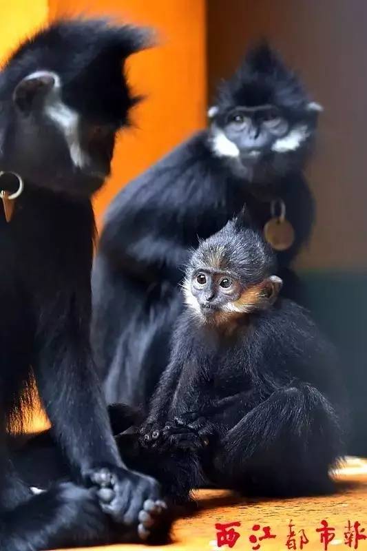 幼儿园无证经营处罚规定,教育局对无证经营的幼儿园怎么办