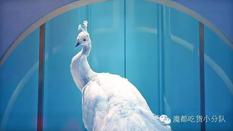 上海美食打卡必去的地方排名,上海万象城美食排行榜前十名