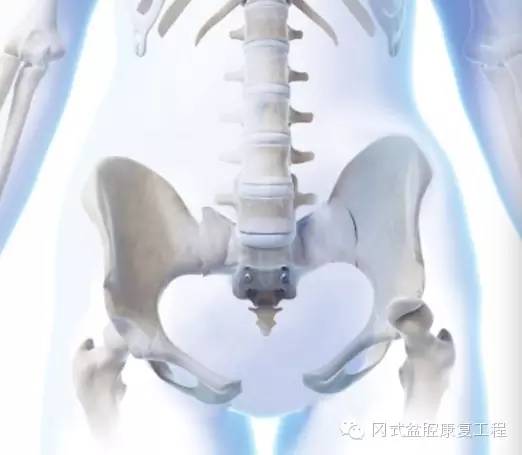 拒绝产后大肚腩轻轻松松搞定,盆腔臀疗手法