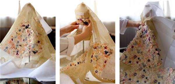 missdior橘调,missdior为啥受欢迎