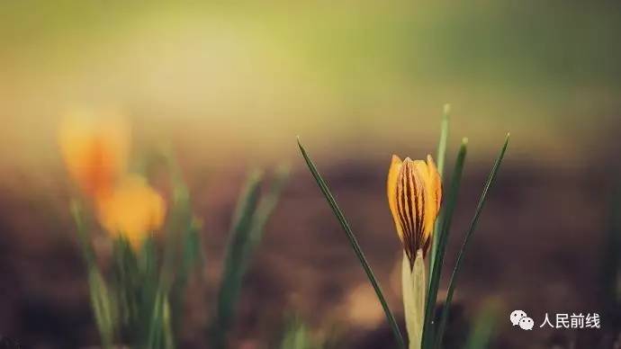 军改常见问题,军改后定向士官的安排