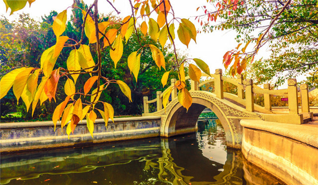 Word天！国际教育、城乡一体、学有优教……2020年的青岛教育太厉害！