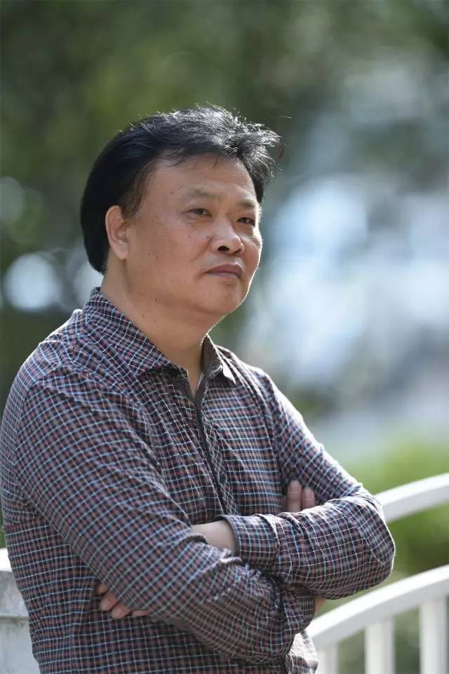 邳州银杏画欣赏,邳州银杏拍照视频