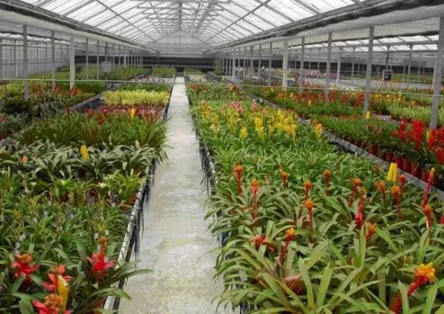 呕心整理!成都人年货采购地点最全攻略都在这!赶紧收藏!