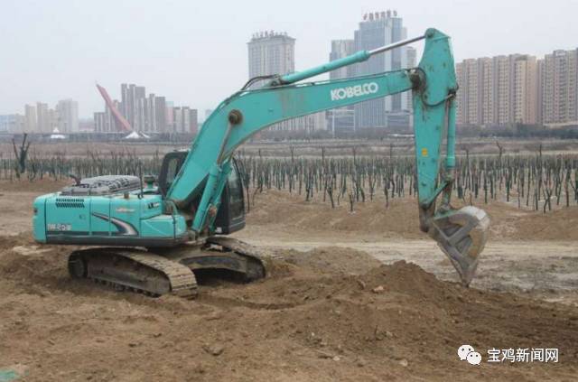 1月14日新闻摘抄,1月14日新闻主要内容