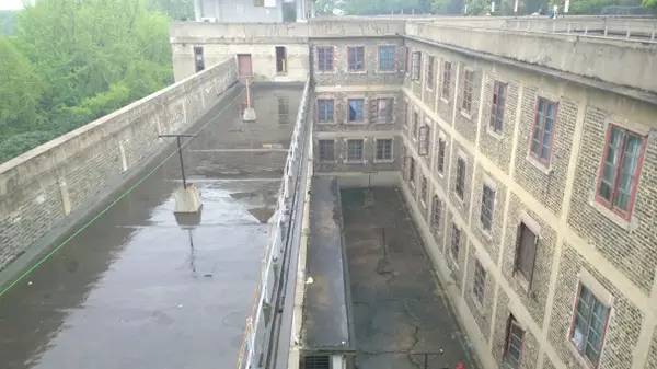 中国最美的大学武汉大学,中国最美大学武汉大学