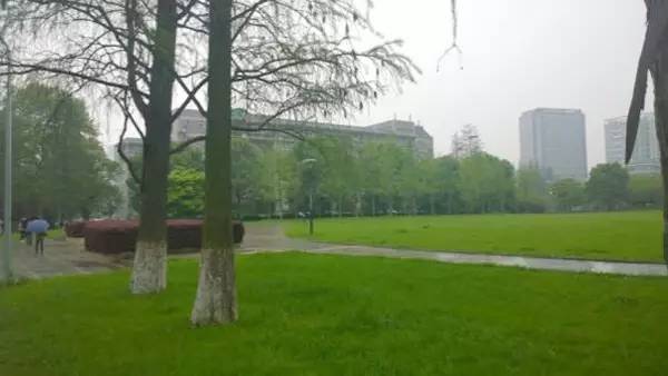 中国最美的大学武汉大学,中国最美大学武汉大学