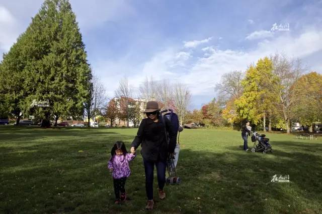 希拉里移民了吗,希拉里移民后的现状