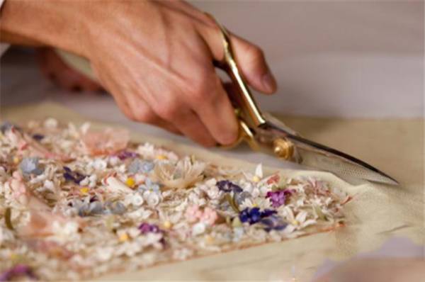 missdior橘调,missdior为啥受欢迎