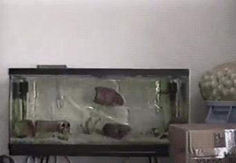 信息快报｜第281期（今日共18条）好想使劲抓着雾霾脖领子，问问他我的快递呢？