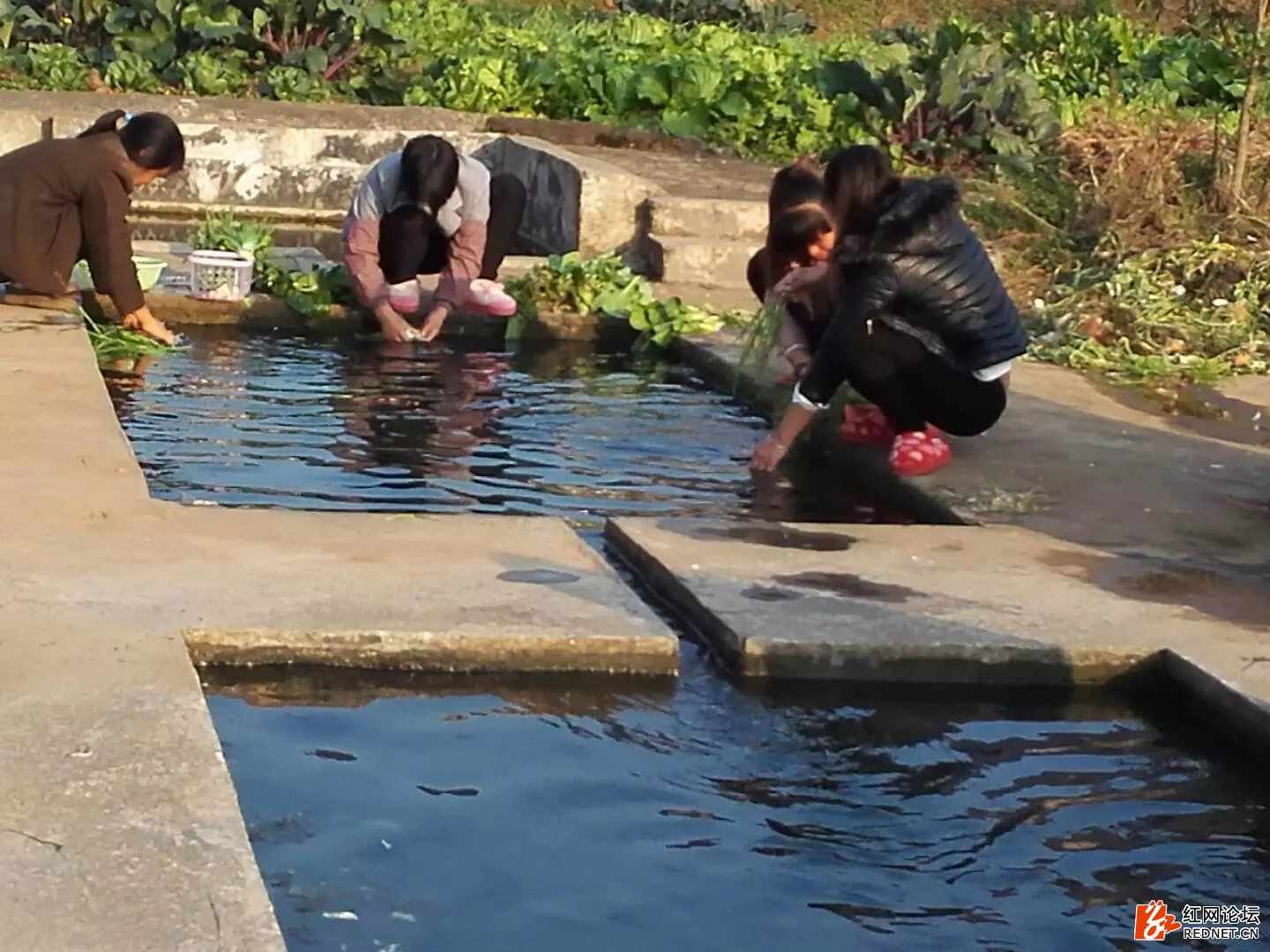 <html>
<head><title>502BadGateway</title></head>
<body>
<center><h1>502BadGateway</h1></center>
<hr><center>nginx</center>
</body>
</html>
<!--apaddingtodisableMSIEandChromefriendlyerrorpage-->
<!--apaddingtodisableMSIEandChromefriendlyerrorpage-->
<!--apaddingtodisableMSIEandChromefriendlyerrorpage-->
<!--apaddingtodisableMSIEandChromefriendlyerrorpage-->
<!--apaddingtodisableMSIEandChromefriendlyerrorpage-->
<!--apaddingtodisableMSIEandChromefriendlyerrorpage-->
