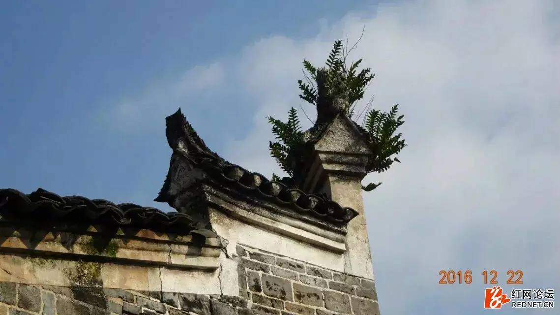 <html>
<head><title>502BadGateway</title></head>
<body>
<center><h1>502BadGateway</h1></center>
<hr><center>nginx</center>
</body>
</html>
<!--apaddingtodisableMSIEandChromefriendlyerrorpage-->
<!--apaddingtodisableMSIEandChromefriendlyerrorpage-->
<!--apaddingtodisableMSIEandChromefriendlyerrorpage-->
<!--apaddingtodisableMSIEandChromefriendlyerrorpage-->
<!--apaddingtodisableMSIEandChromefriendlyerrorpage-->
<!--apaddingtodisableMSIEandChromefriendlyerrorpage-->
