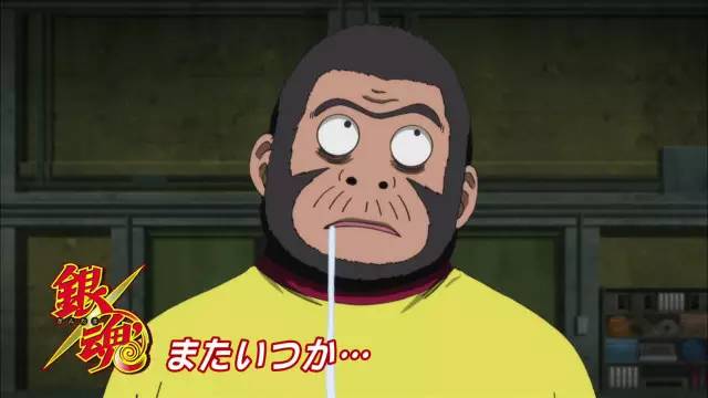 猴年说猴阅读理解答案初中,猴年说猴阅读理解