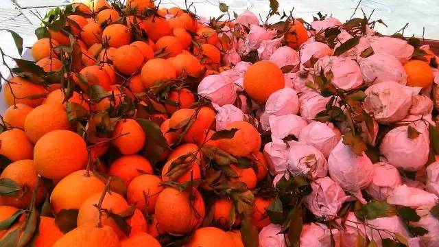 呕心整理!成都人年货采购地点最全攻略都在这!赶紧收藏!