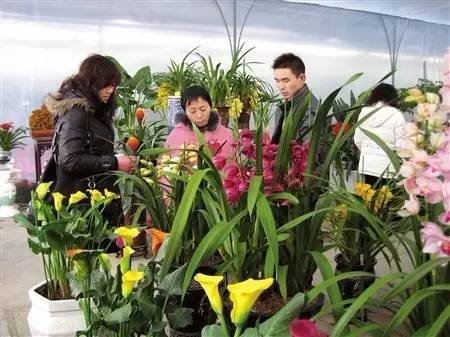 呕心整理!成都人年货采购地点最全攻略都在这!赶紧收藏!