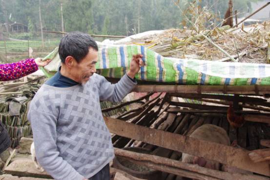 脱贫攻坚让村子大变样,脱贫攻坚农村旧貌展新颜