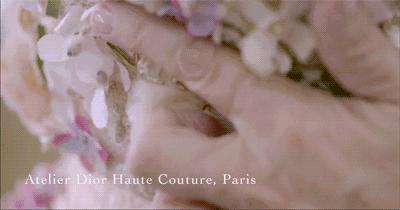 missdior橘调,missdior为啥受欢迎