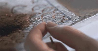 missdior橘调,missdior为啥受欢迎