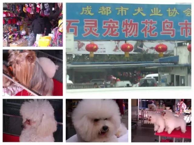 呕心整理!成都人年货采购地点最全攻略都在这!赶紧收藏!