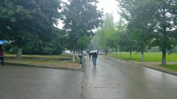 中国最美的大学武汉大学,中国最美大学武汉大学