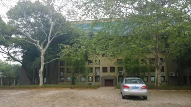 中国最美的大学武汉大学,中国最美大学武汉大学