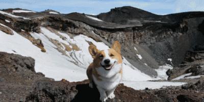 burberry包包和lv包对比,burberry十大必买包包