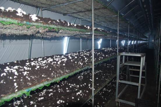 脱贫攻坚一线实况,致敬在脱贫攻坚一线的人