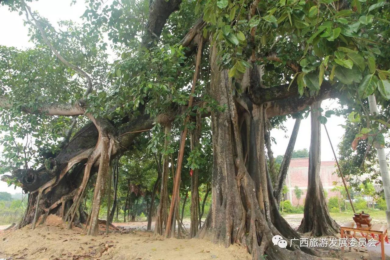 温暖人心的中国故事,感人的中国小故事