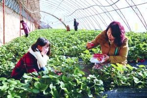 呼和浩特游玩攻略过年,呼和浩特春节期间攻略