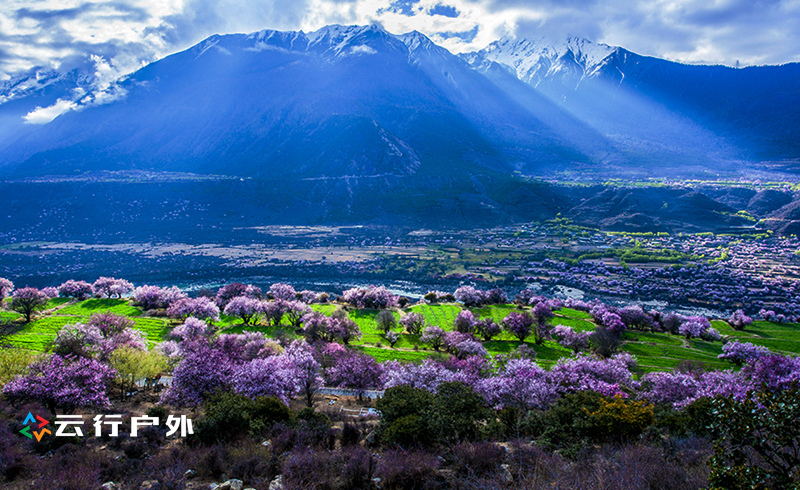 2019年成都自驾林芝看桃花,金川梨花赏花路线