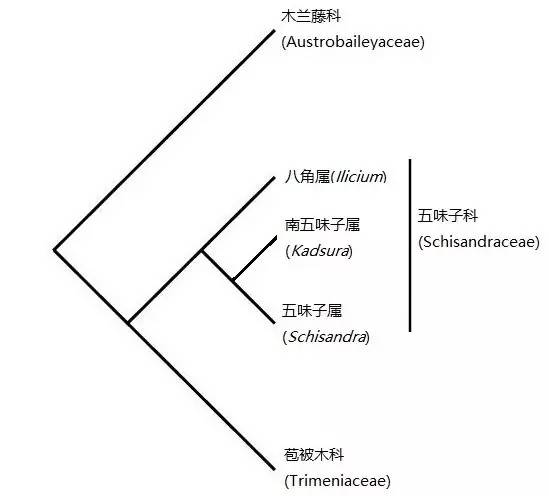 APGIV系统学习笔记分享（四）
