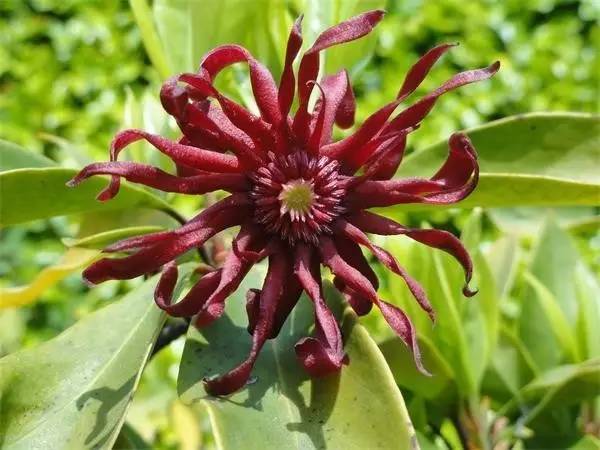 APGIV系统学习笔记分享（四）