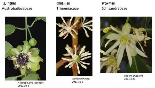 APGIV系统学习笔记分享（四）