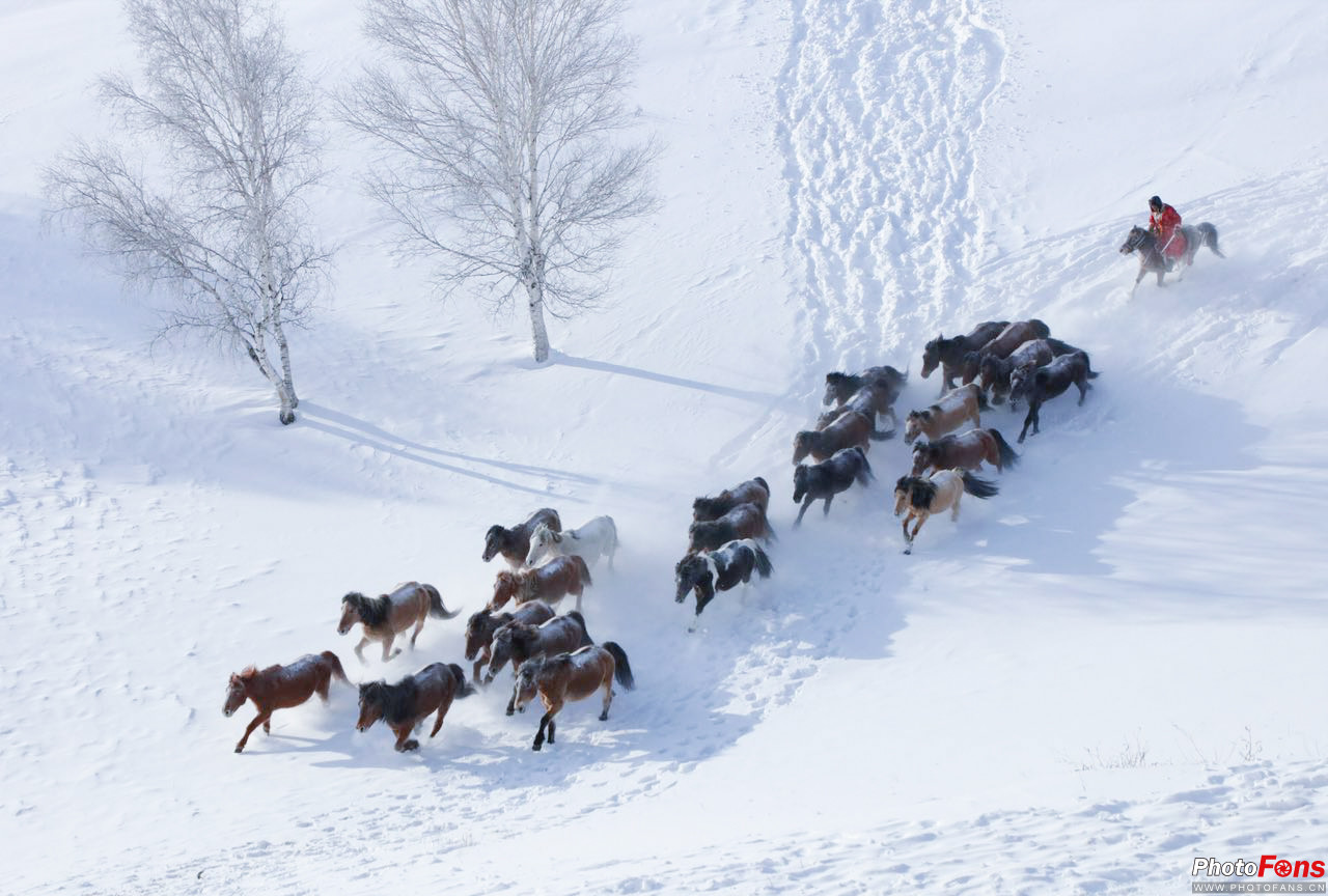 鍐ぉ绛栭┈濂旇吘瑙嗛,鍐棩鑽夊師楠戦┈瑙嗛绛栭┈濂旇吘