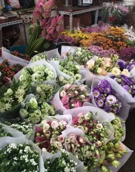 过年好看的年宵花,年宵花摆什么好看