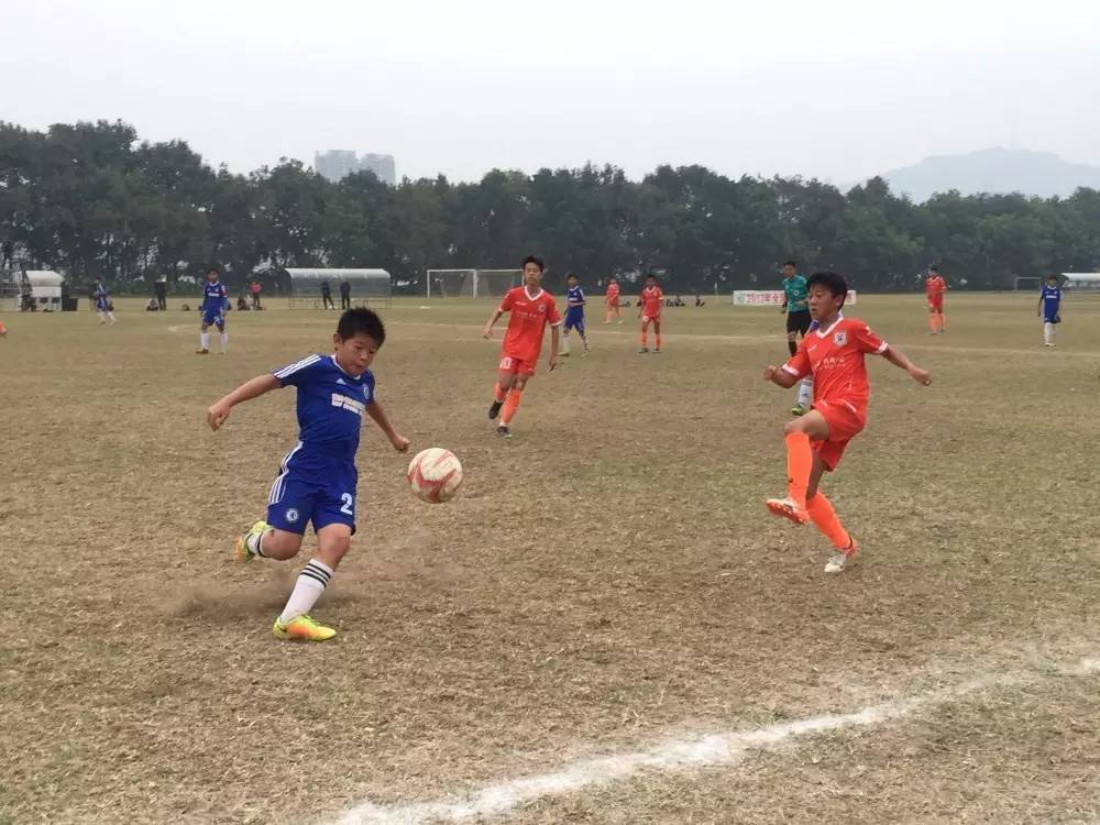 幼儿园无证经营处罚规定,教育局对无证经营的幼儿园怎么办