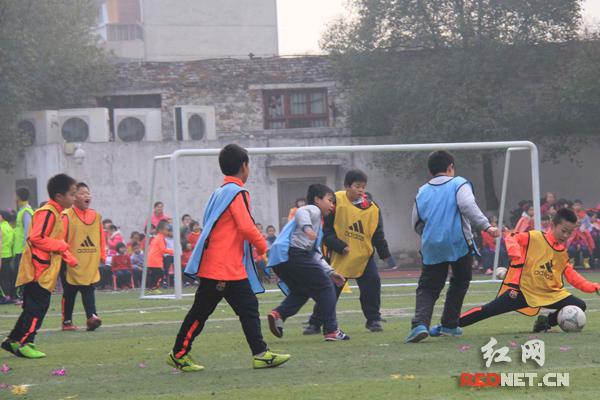 芙蓉区东晖小学老师,长沙芙蓉区东晖小学怎么样