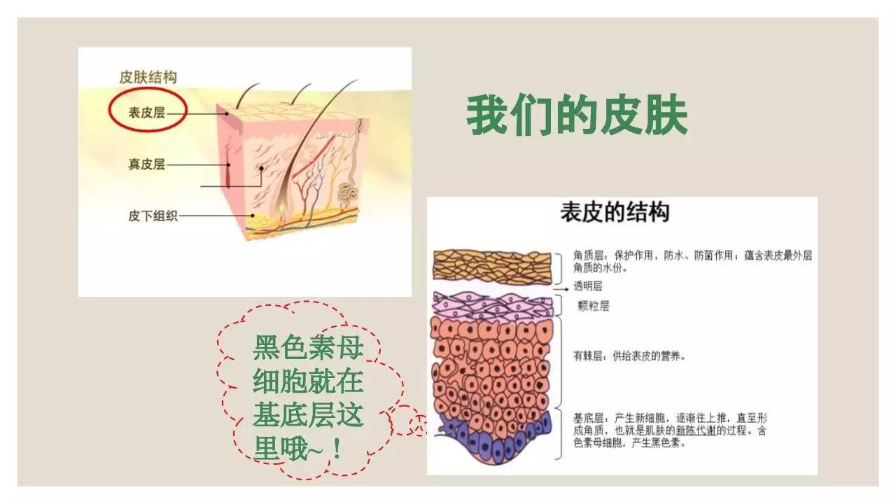 新人报到｜想比范冰冰还要白？美白过程你一定要注意这些