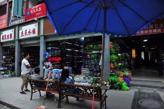 呕心整理!成都人年货采购地点最全攻略都在这!赶紧收藏!