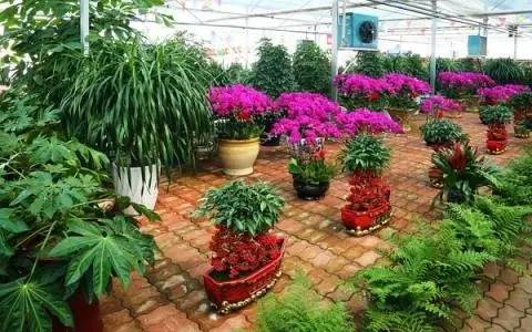 呕心整理!成都人年货采购地点最全攻略都在这!赶紧收藏!