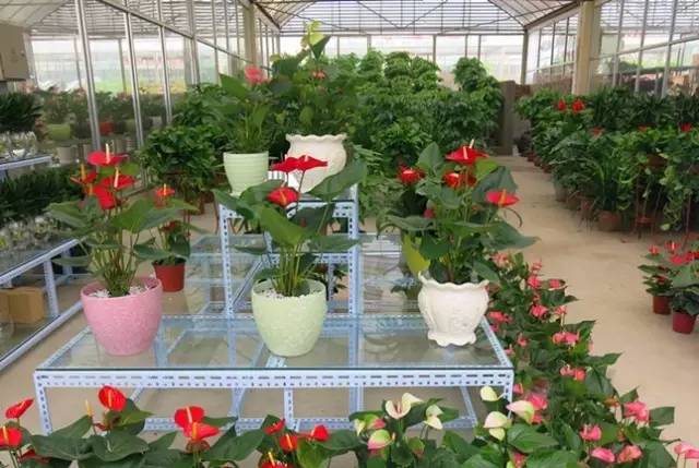 呕心整理!成都人年货采购地点最全攻略都在这!赶紧收藏!