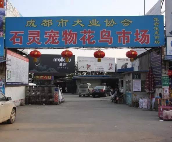 呕心整理!成都人年货采购地点最全攻略都在这!赶紧收藏!