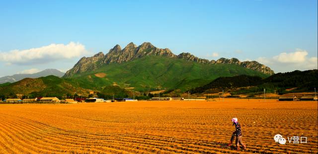 熊岳入选国家美丽宜居小镇示范，营口还有3个村榜上有名