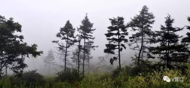 熊岳入选国家美丽宜居小镇示范,营口还有3个村榜上有名